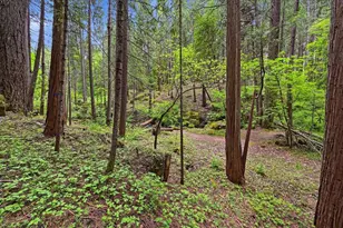 10433 Park Ave Ext, Nevada City, CA 95959 - Photo 90