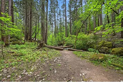 10433 Park Avenue Extension, Nevada City, CA 95959 - Photo 90
