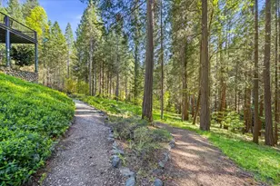 10433 Park Ave Ext, Nevada City, CA 95959 - Photo 66