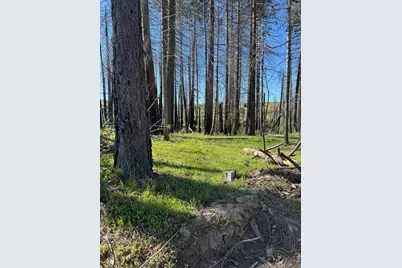 7601 Forest Glen Drive, Grizzly Flats, CA 95636 - Photo 1