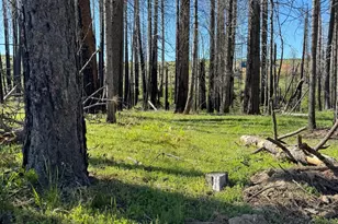 7601 Forest Glen Dr, Grizzly Flats, CA 95636 - Photo 1