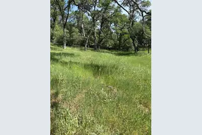 0 Mirinda Lane, Cool, CA 95614 - Photo 8