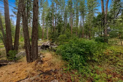 0 Sugar Loaf, Kyburz, CA 95720 - Photo 8