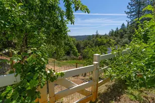 18301 Toyon Rd, Pine Grove, CA 95665 - Photo 14
