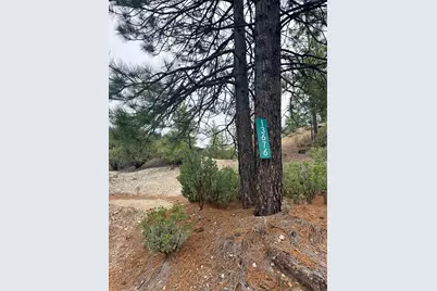 13676 Sailor Flat, Nevada City, CA 95959 - Photo 42