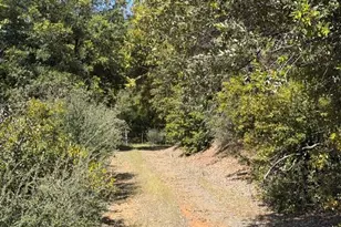 22460 Canyon Way, Colfax, CA 95713 - Photo 68