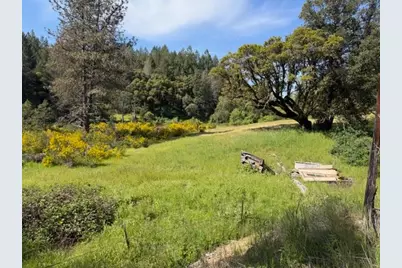 22460 Canyon Way, Colfax, CA 95713 - Photo 2