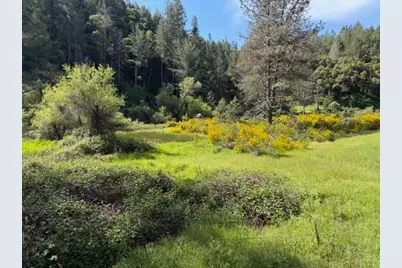 22460 Canyon Way, Colfax, CA 95713 - Photo 1