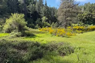22460 Canyon Way, Colfax, CA 95713 - Photo 1
