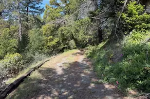 22460 Canyon Way, Colfax, CA 95713 - Photo 48