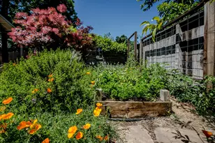 229 Cross St, Woodland, CA 95695 - Photo 32