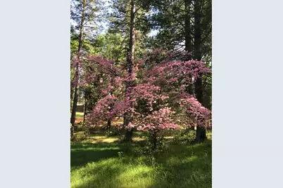 14792 Wabash Avenue, Grass Valley, CA 95945 - Photo 16