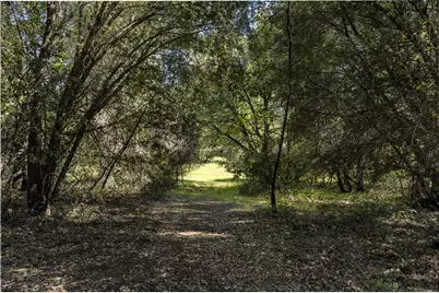 7381 Nutmeg Lane, Placerville, CA 95667 - Photo 22