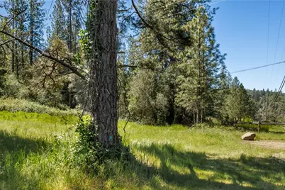 7381 Nutmeg Lane, Placerville, CA 95667 - Photo 8
