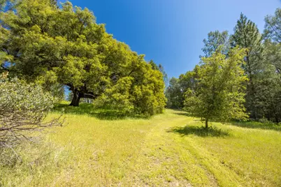 7381 Nutmeg Lane, Placerville, CA 95667 - Photo 4
