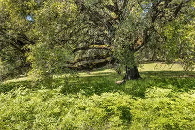 7381 Nutmeg Lane, Placerville, CA 95667 - Photo 2