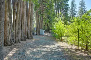 20000 Circle View Dr, Pioneer, CA 95666 - Photo 34