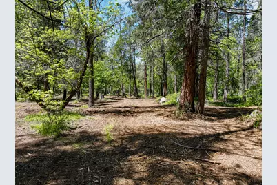 20493 Rector Road, Nevada City, CA 95959 - Photo 20
