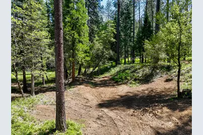 20493 Rector Road, Nevada City, CA 95959 - Photo 8
