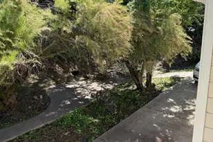 96 Court St, San Andreas, CA 95249 - Photo 26