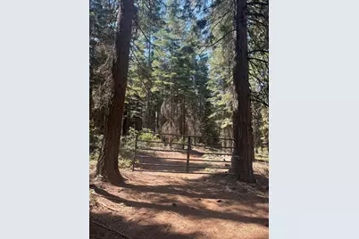 30205 N Bloomfield-Graniteville Road, Nevada City, CA 95959 - Photo 6