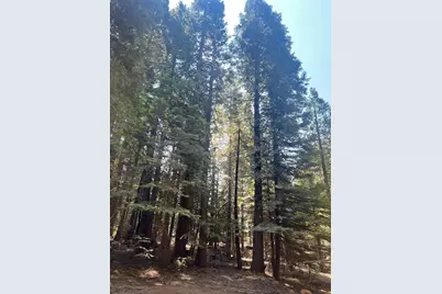 30205 N Bloomfield-Graniteville Road, Nevada City, CA 95959 - Photo 8