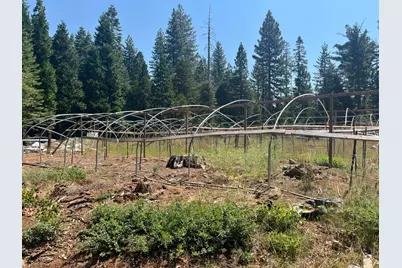 30205 N Bloomfield-Graniteville Road, Nevada City, CA 95959 - Photo 12