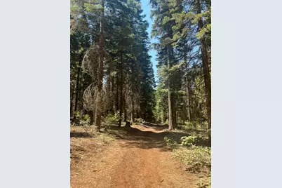30205 N Bloomfield-Graniteville Road, Nevada City, CA 95959 - Photo 2