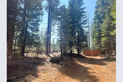 30205 N Bloomfield-Graniteville Road, Nevada City, CA 95959 - Photo 10
