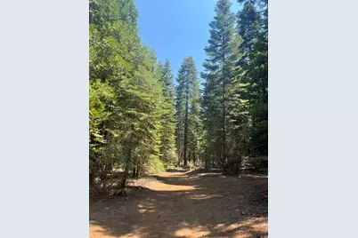 30205 N Bloomfield-Graniteville Road, Nevada City, CA 95959 - Photo 4