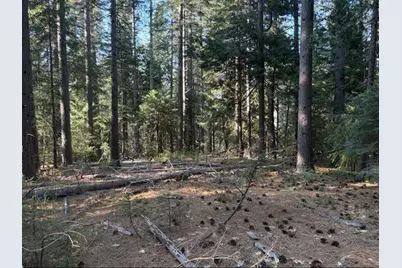 30115 N Bloomfield-Graniteville Road, Nevada City, CA 95959 - Photo 2