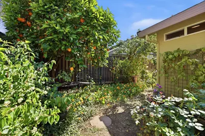 319 Fuller Lane, Lincoln, CA 95648 - Photo 38