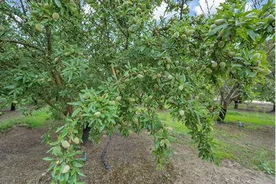 0 14706 Peach Avenue, Livingston, CA 95334 - Photo 16