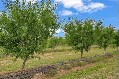 0 14706 Peach Avenue, Livingston, CA 95334 - Photo 28