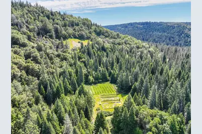 1535 Derbec Road, Nevada City, CA 95959 - Photo 6