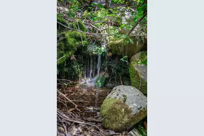 1535 Derbec Road, Nevada City, CA 95959 - Photo 4