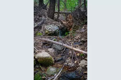 1535 Derbec Road, Nevada City, CA 95959 - Photo 2