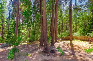 6148 Red Robin Rd, Placerville, CA 95667 - Photo 24