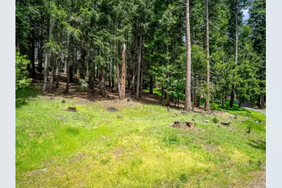 3319 Hazel Street, Pollock Pines, CA 95726 - Photo 28