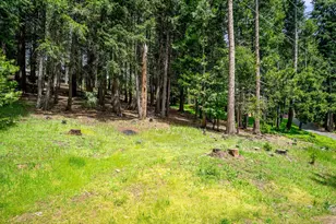 3319 Hazel St, Pollock Pines, CA 95726 - Photo 28