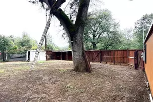 1087 Hwy 4, Douglas Flat, CA 95229 - Photo 8