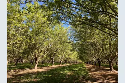 5000 Ord Ferry, Chico, CA 95928 - Photo 12