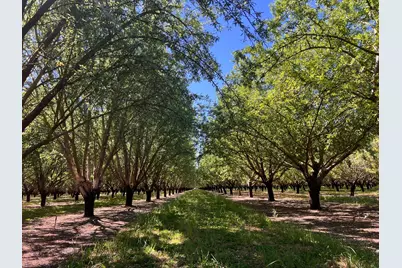 5000 Ord Ferry, Chico, CA 95928 - Photo 26