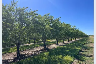 5000 Ord Ferry, Chico, CA 95928 - Photo 14