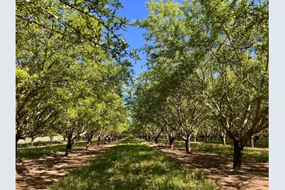 5000 Ord Ferry, Chico, CA 95928 - Photo 18