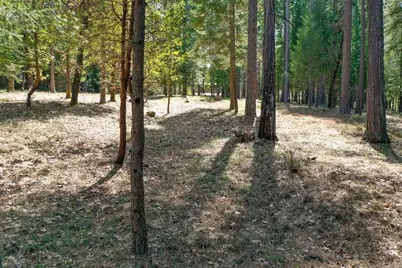 10730 Jasper Agate Court, Nevada City, CA 95959 - Photo 20