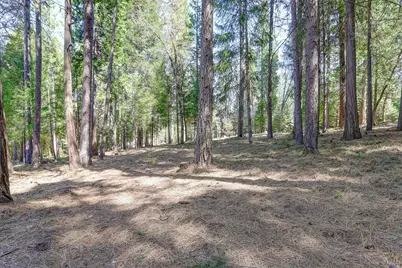 10730 Jasper Agate Court, Nevada City, CA 95959 - Photo 28