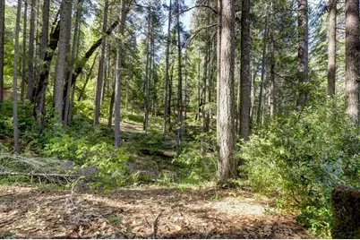 0 Tay Lane, Nevada City, CA 95959 - Photo 66
