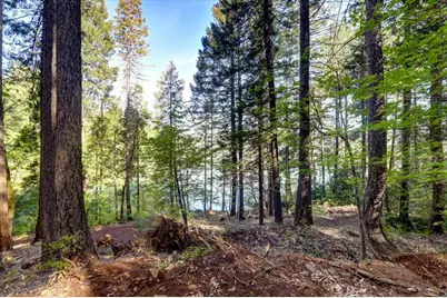 0 Tay Lane, Nevada City, CA 95959 - Photo 6