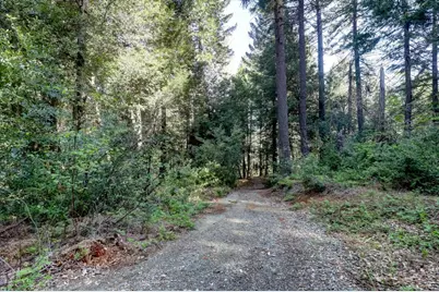 0 Tay Lane, Nevada City, CA 95959 - Photo 40